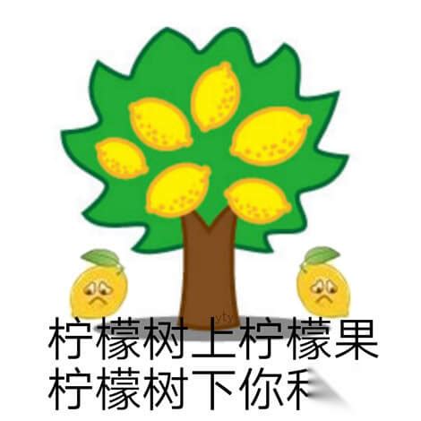 檸檬樹上檸檬果 檸檬樹下你和我|檸檬樹上檸檬果，檸檬樹下你和我。你是個合格的檸檬。